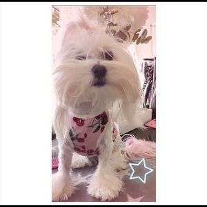 Bunny 🐰 & Snow ❄️